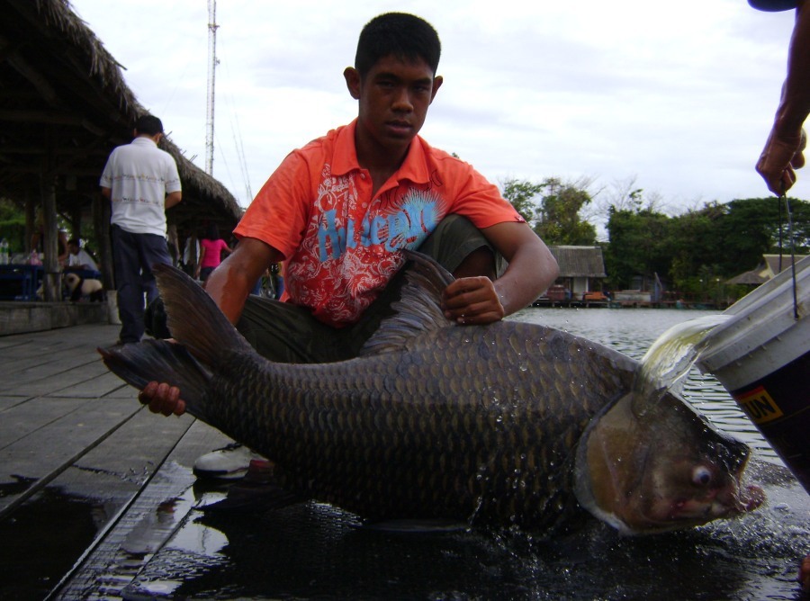 หนักเอาการเหมือนกัน