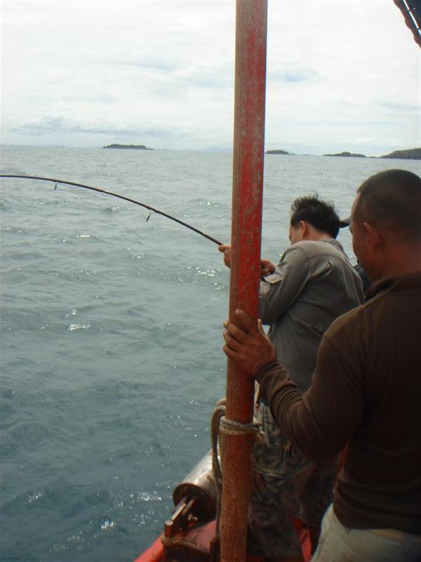 สวัสดีครับ
น้า [b]p_nk.fishing[/b]
น้า [b]อาจารย์อาร์ต[/b]
น้า [b]ข้าวบูด[/b]
น้า [b]pee.pon[/b]