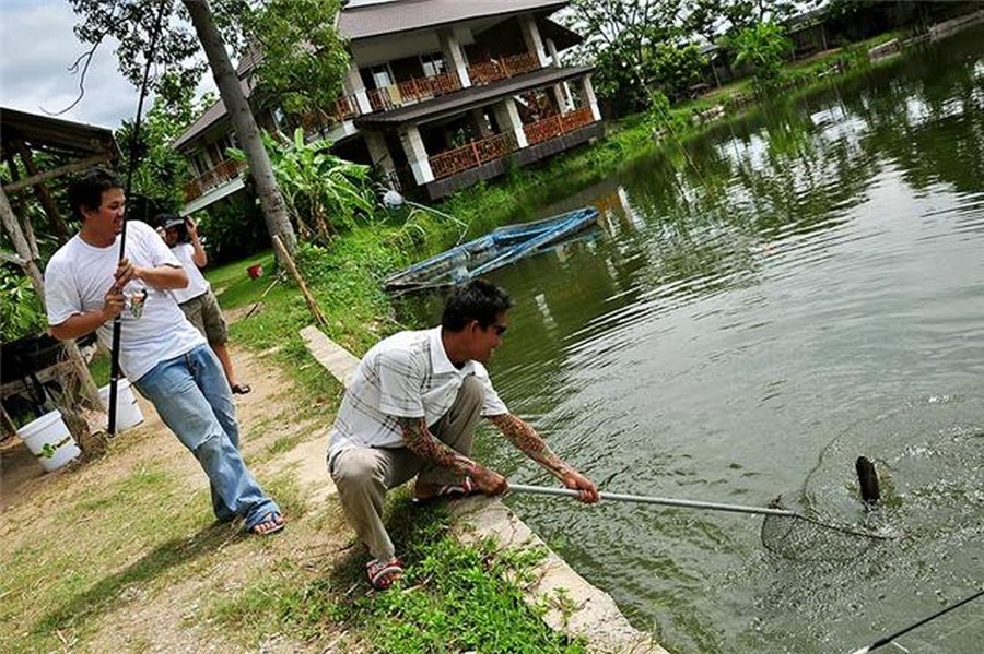 เปลี่ยนแนวมั่ง มันดีเหมือนกันนะ  :laughi