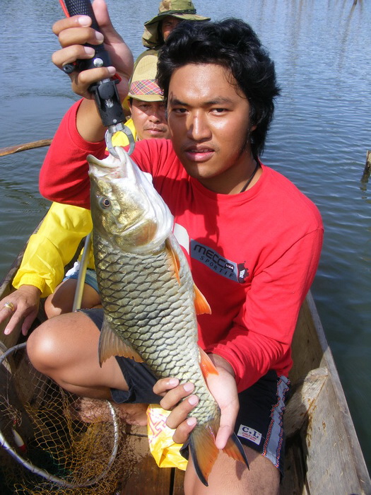 ตัวนี้หล่อไม่น้อย 2โล3ขีด หุหุ กัดแร