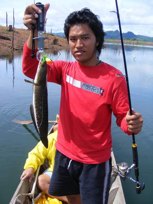 หล่ออีกตามเคย  :laughing: :laughing: :laughing: