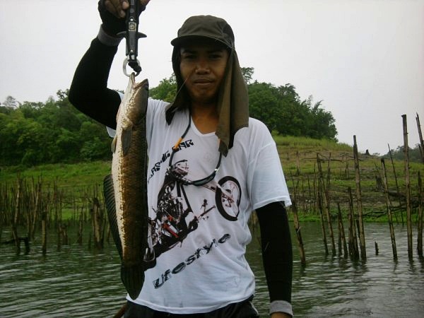 F18 ตีไขแตกจได้กับช่อนตัวงาม  หล่อเหมือนกัน 

:cool: :cool: :cool: :cool: :cool: :cool: :cool: