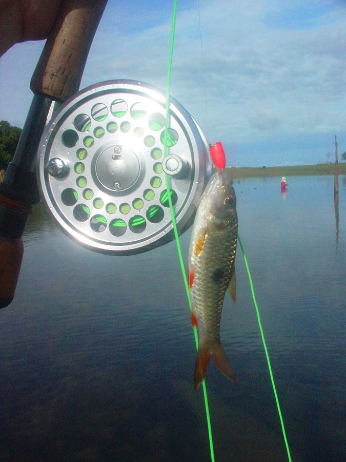 อ่อ..ของน้า unfish  เอามาวางไว้นี่เอง..

(ผ