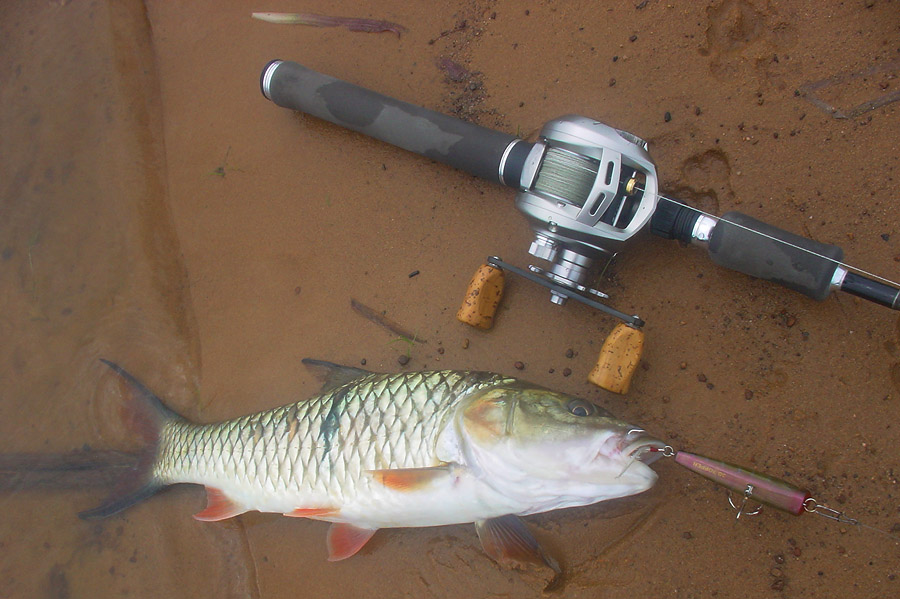 ได้มา 1 หน่วยสำหรับหมายนี้...(น้า unfish ปล