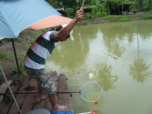 เห็นจะๆ โนเซฟ ห้ามทิ้งเด็ดขาด