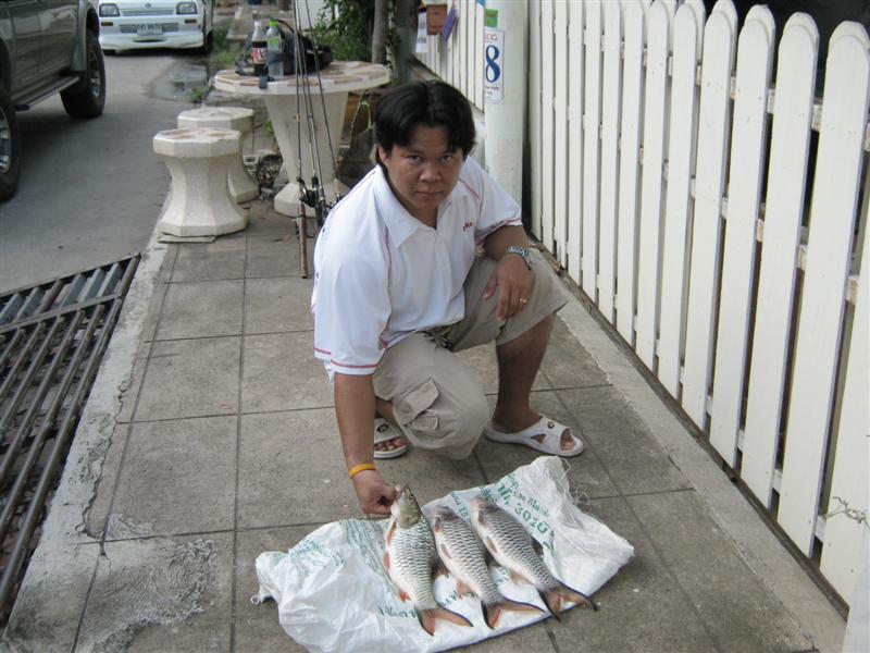 กลับถึงบ้านแล้ว ถ่ายรูปเก็บไว้ซ่ะหน่อย  :cheer:  :cheer:  :cheer:  :cheer:


สวัสดีครับ  [b]น้าki