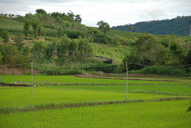 ด้านหลังรีสอร์ชที่พัก  สบายสายตาจริงๆ 

ขอพักก่อนนะครับ พรุ่งนี้มาต่อให้ อิอิ หนังยาวครับทริปนี้ :