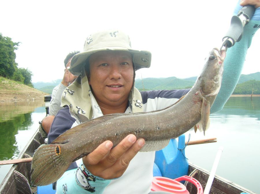 อีกซักใบ แระกัน :grin: :cheer: :cheer: :cheer: