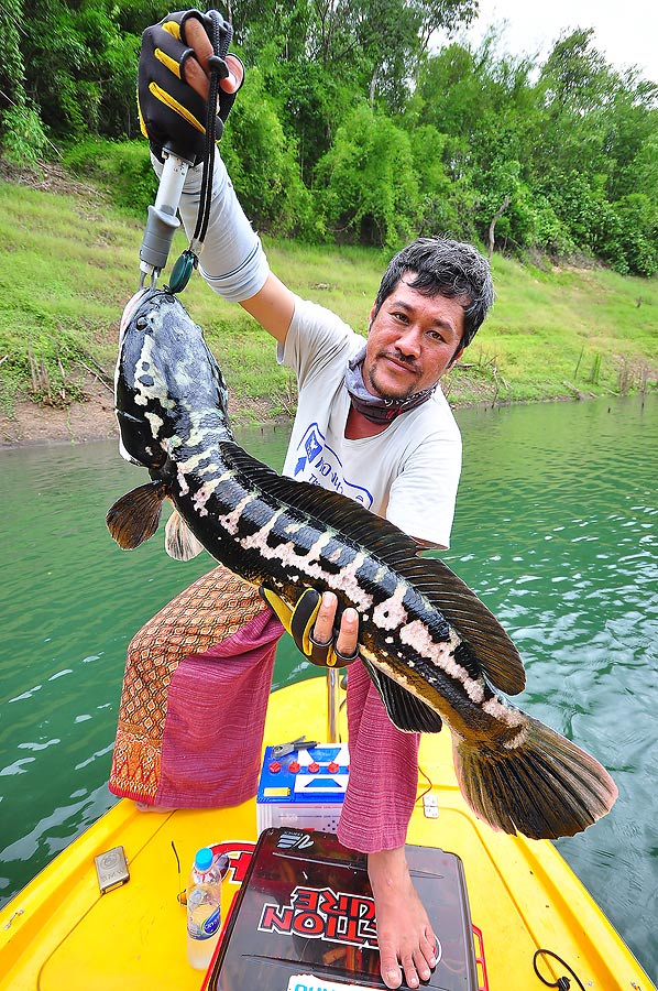 เอาไปอีกรุปพอน่ะอีเอก เจ้ากบรอคิวอยู่ :laughing: :laughing: :laughing: