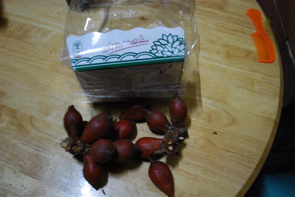 


น้าแป๊ะครับ....ด้วยความเคารพ...... [b]บ้