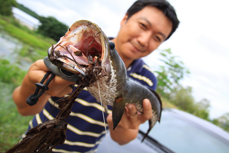 
  :smile: .... เอามาทั้งยวง ....  :grin: