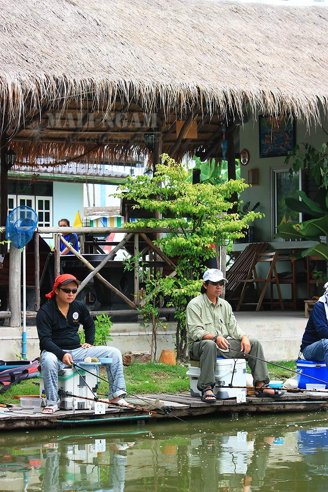 ทางโคราชเลยให้  น้าคอป...ประกบไว้

ต่างคนต่างเกรงใจ....ไม่วัดปลากันเลย   :laughing: