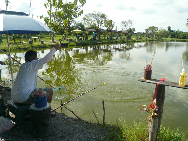 ดื้อจัง