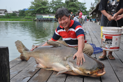 เฮียเล็ก ขอ ด้วย ค้าบบบบ ^_____^


 :grin: :grin: :grin