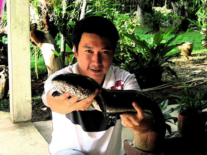 
ตัวที่ 2  ที่ได้มา ..... กินเหยื่อกบ bird  สีส้มเหมือนกัน ....... มันเล่นตามเหยื่ออยู่สองสามรอบแต่