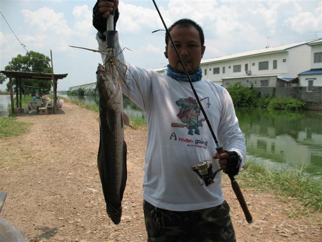 [q][i]อ้างถึง: soiree posted: 02-08-2553, 17:27:57[/i]

ตามชมปลาช่อนตูมตาม ในดงใบบัว ด้วยคนนะครับน