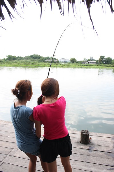ผมตั้งเบรคพอสมควรให้ตก(อยากเห็นคนต