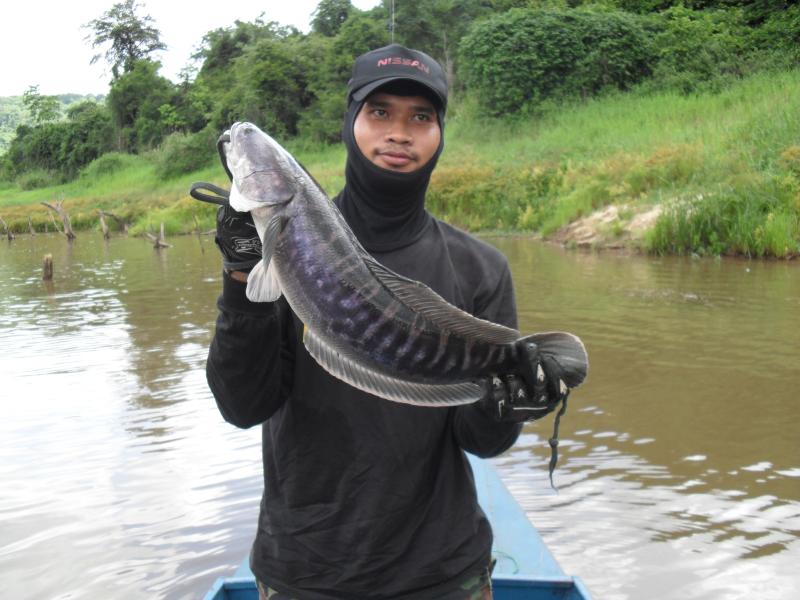 สวัสดีครับน้า[q][i]อ้างถึง: somjitp2009 posted: 03-08-2553, 