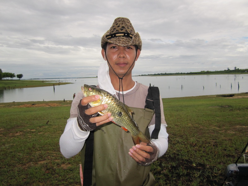 ปลาหนีบอดช่วงเช้าตรู่ครับ :grin: