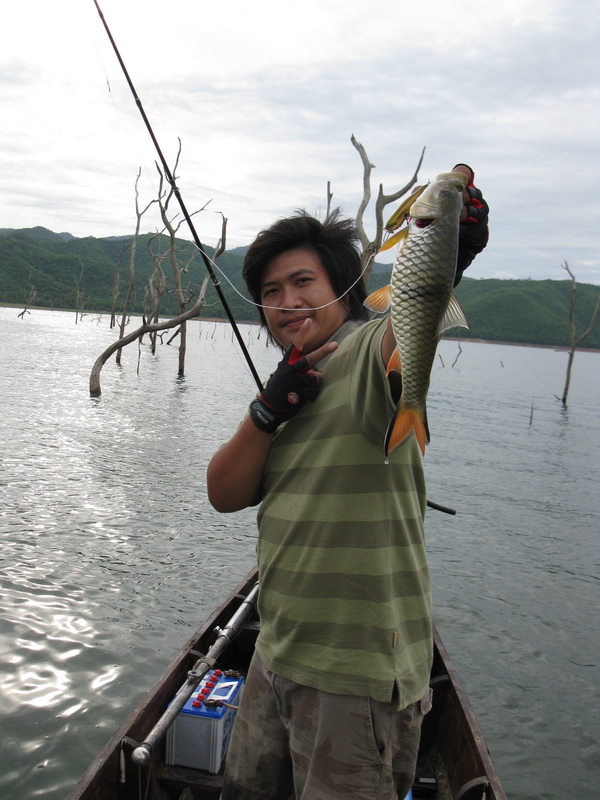


อีกสักใบ    :laughing: :laughing:

