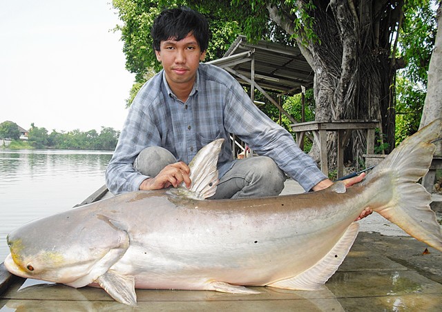 ลองเทียบปลา3รูปนี้ดูนะครับว่าเป็นป