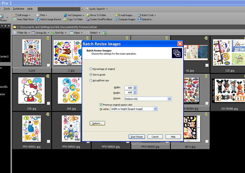 2.เมื่อได้รูปที่ต้องการแล้ว ให้กด Ctrl+R  จะขึ้นหน้าดังรูป
- ให้คลิกที่ช่อง size in pixels 
- ช่อง