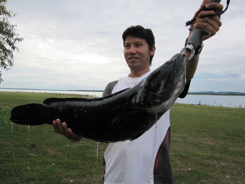 [q][i]อ้างถึง: unfish posted: 04-08-2553, 15:21:56[/i]

 :cheer: :cheer: :cheer:

แบะ แบะ แบะ

