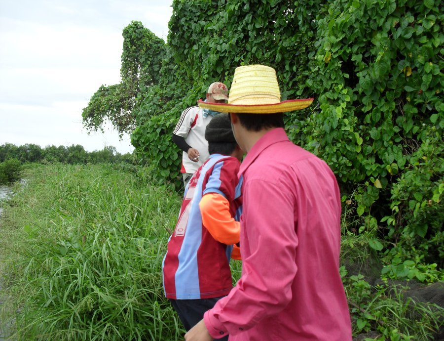  [b]เริ่มวุ่นกันใหญ่ ปลาก็เพิ่งปลดเส