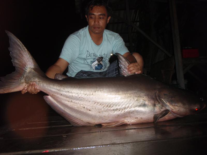 [q][i]อ้างถึง: เติร์ก posted: 06-08-2553, 09:51:57[/i]

สวัสด