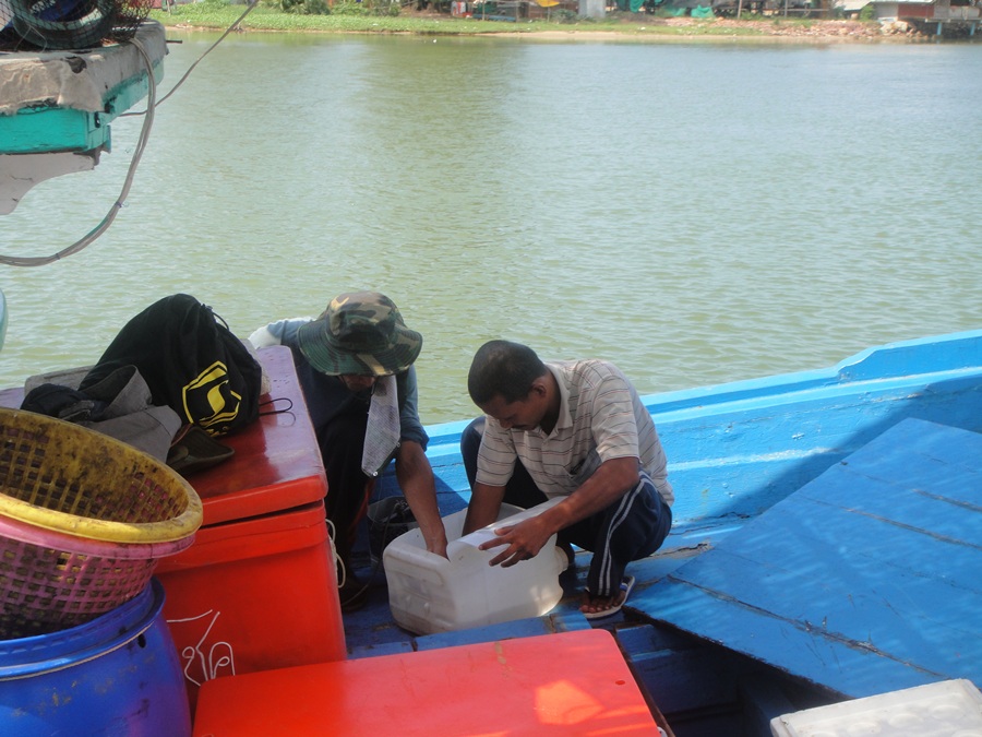 เรากำลังเอาน้องกุ้งลงขังในไต้ท้องเรือเพื้อที่ไว้เป็นเหยือตอนกลางวัน :sleeping: :sleeping: :sleeping: