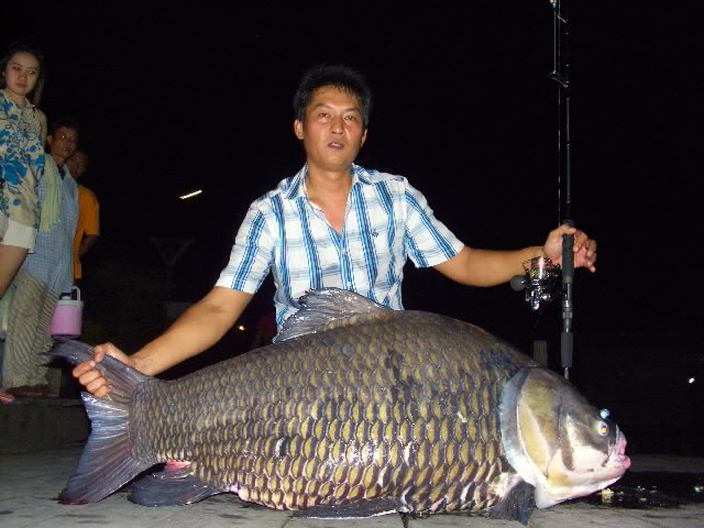 มีโอกาศ ต้องไปลองมั่งซะแล้ว ช.ช้าง เ