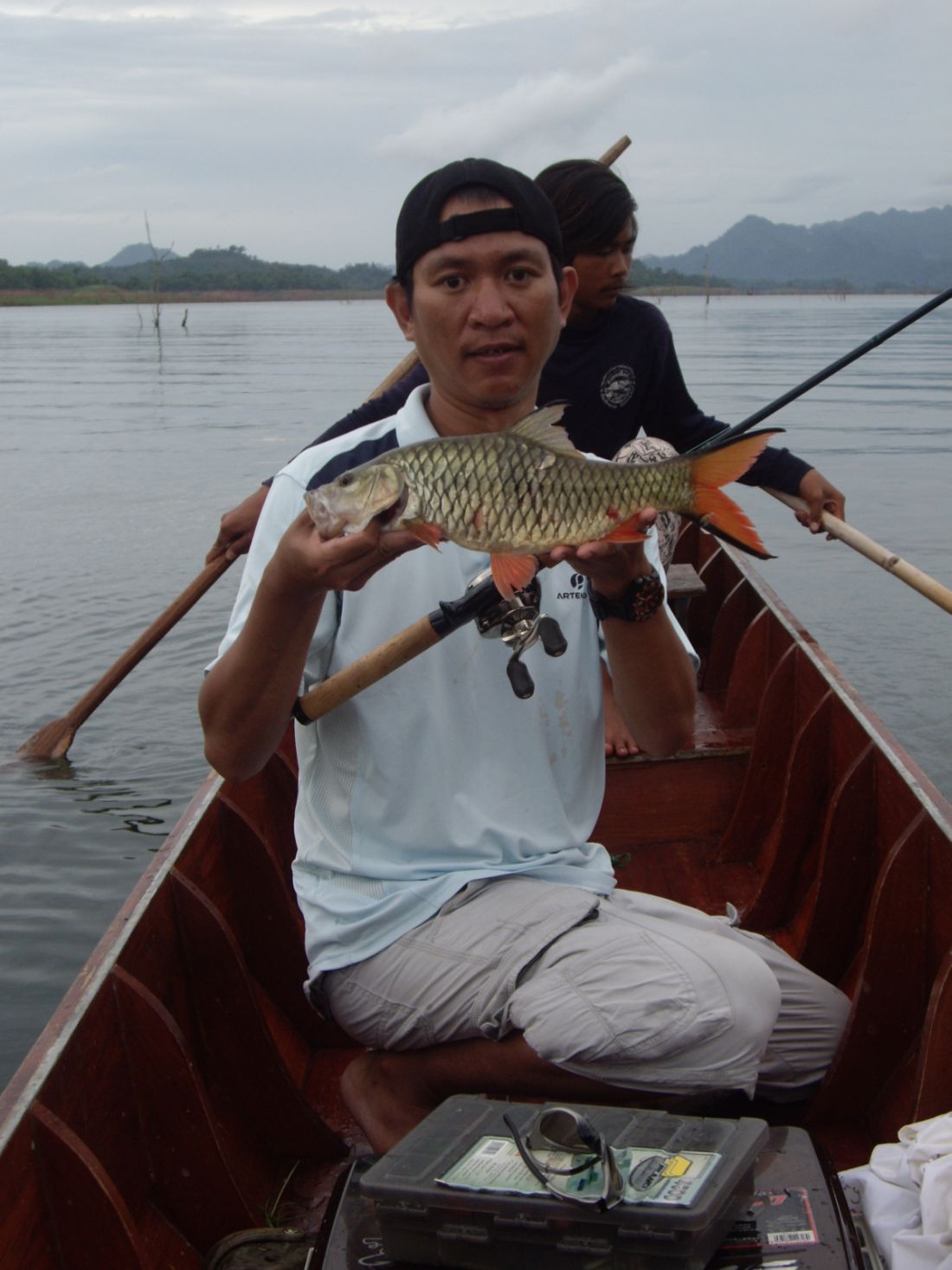 ตัวต่อมา..................................................................................งง        