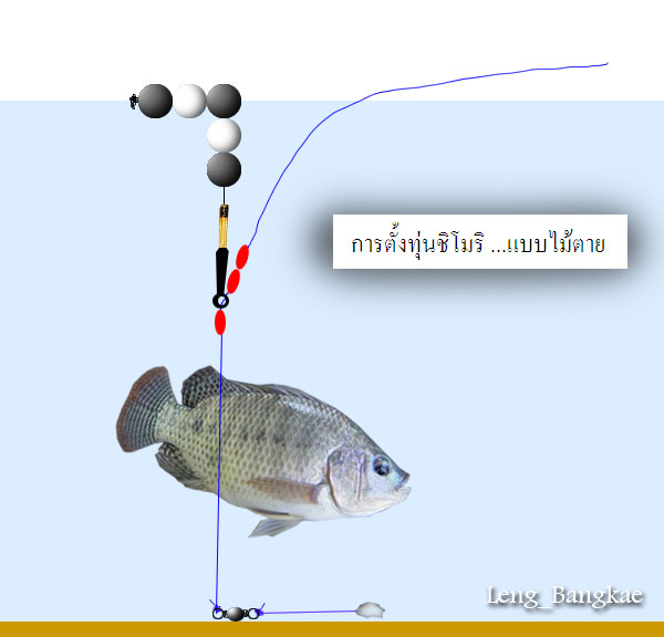 การตั้งทุ่นชิโมริ ดังภาพ ....ตกแบบไม้ตาย .....ให้ทุ่นลอยผิวน้ำ 3 เม็ด จมน้ำ 2 เม็ด

[q]คำเตือน :an