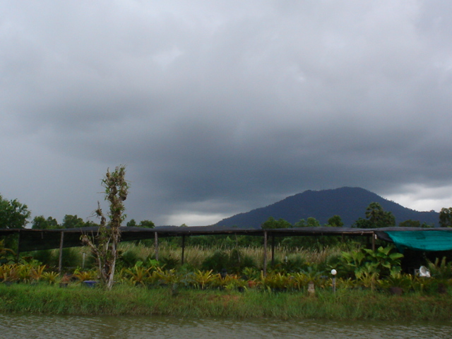 แล้วสิ่งที่ไม่อยากเจอมันก็มา ฝนมาครับเก็บของกลับบ้านกันดีกว่าได้ปลาพอสมควรแร่ะ :grin: