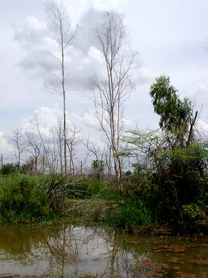 ปวดแขน ถ่ายรูปรอปลาแระกานนน   :grin: