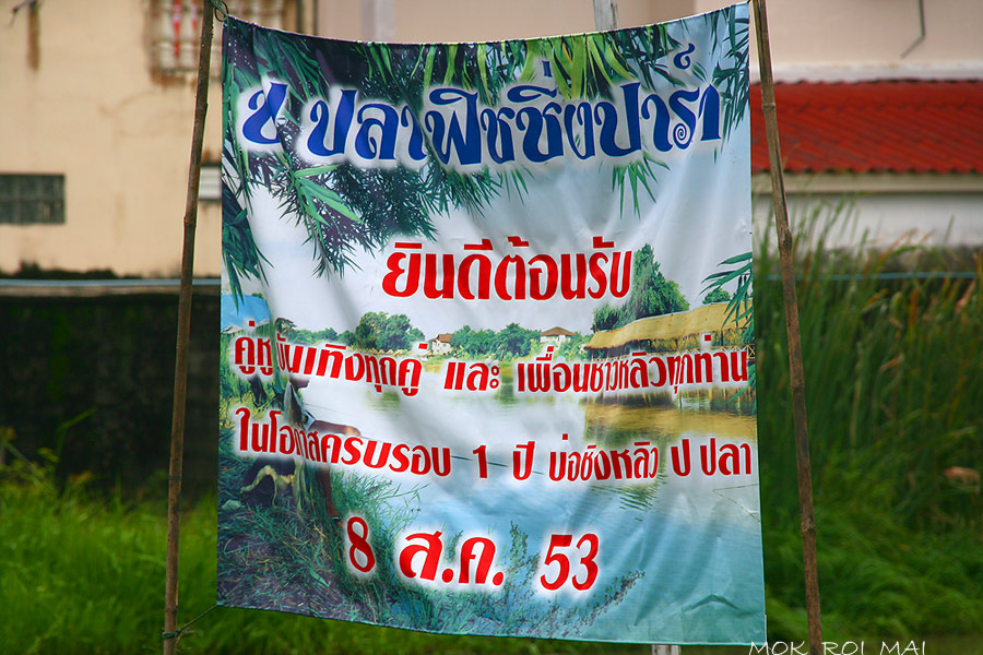 ไปร่วมจ้องทุ่นที่ บ่อ ป.ปลา