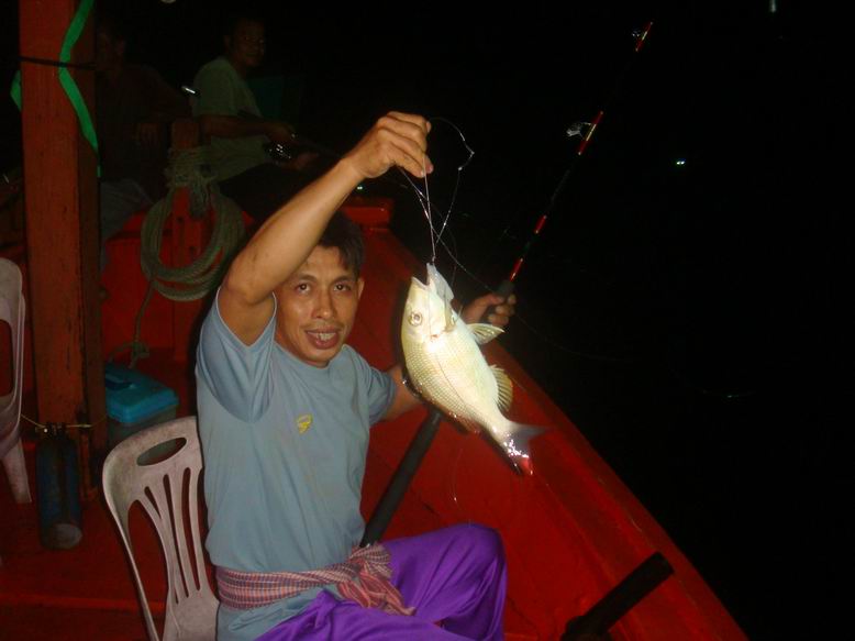 บังเหล็บ...เอาปลาจานขึ้นมา ตะมะ (หมูสี)