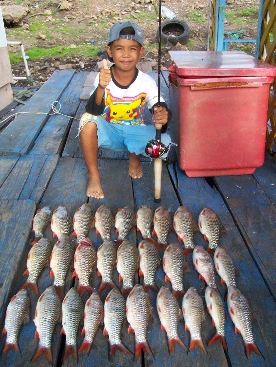 กระทู้เก่าค่ะ
  [url='http://www.siamfishing.com/board/view.php?tid=84882']http://www.siamfishing