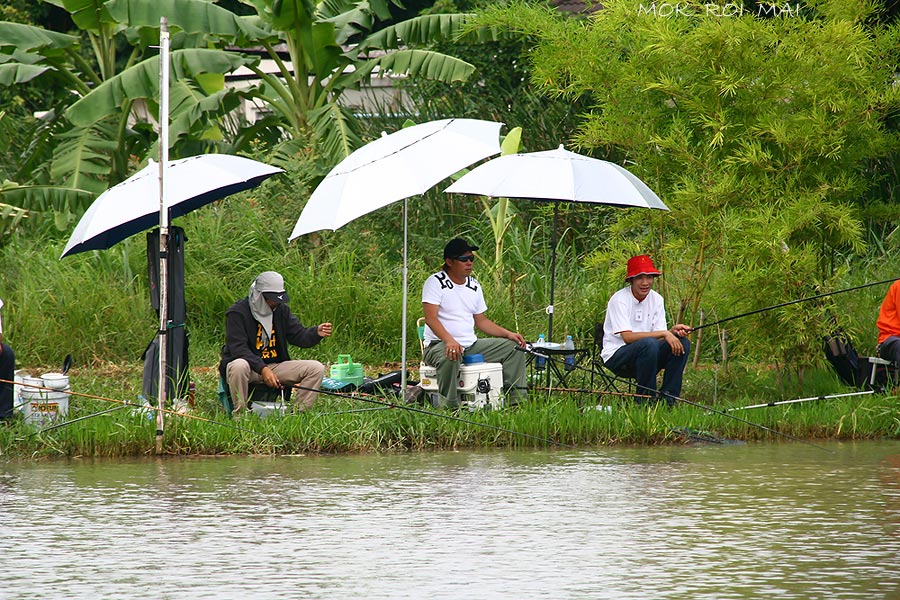 กลุ่มนี้เอาจริงแต่เริ่ม นั่งจ้องกันเคลียดเลย..... :cool: