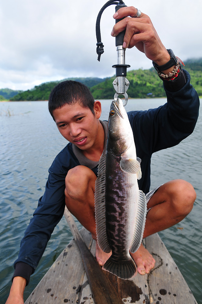 มานป่วย   :angry: :angry: :grin: