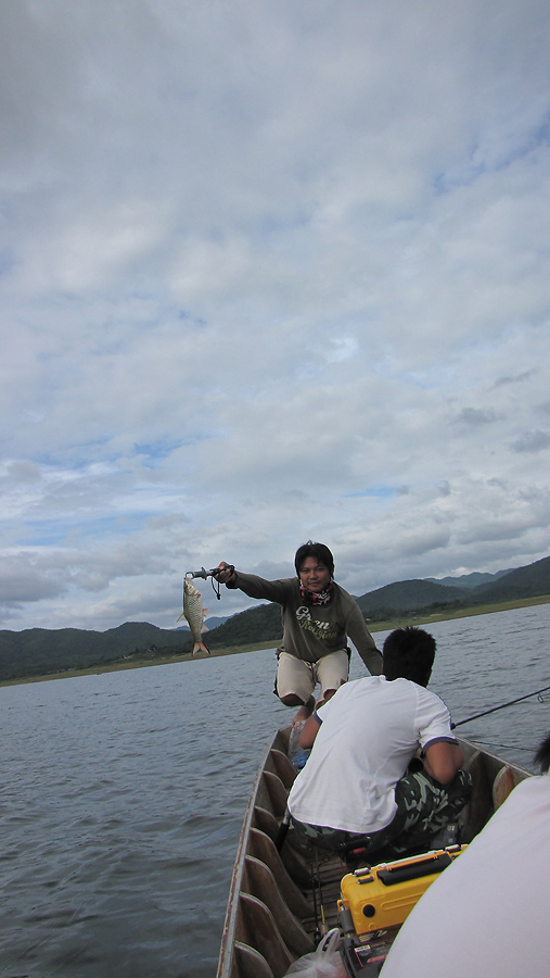 
   นี้ไง  น้าต่าย ได้อีกแล้ว.........หัวเรือยื่นซิคร๊าบบบบบบบบบบบ    :love: