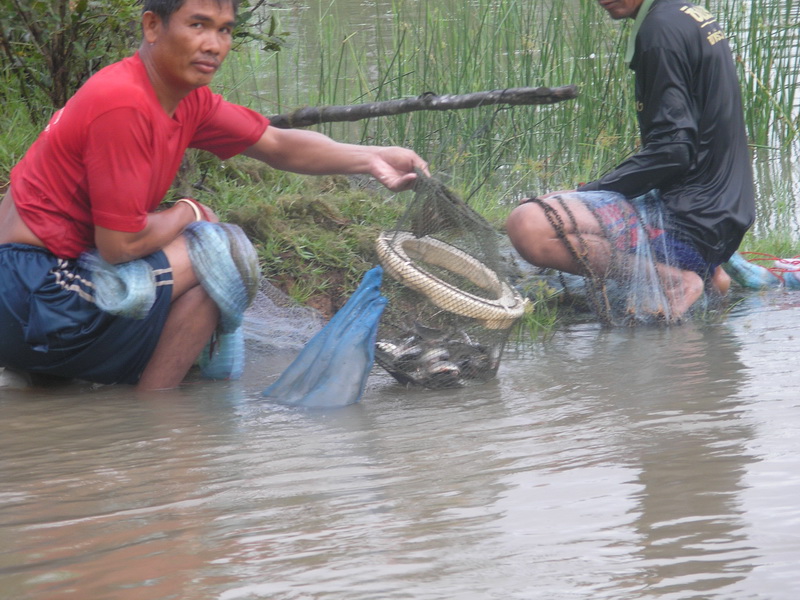 น้า  กิ๊...แอบ เอา ปลา ค นอื่น มาโชว์ :laughing: :laughing: :laughing: :laughing:

 :laughing: :la