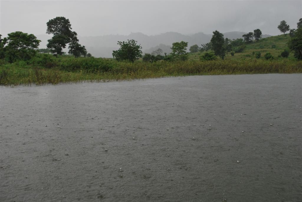 


....ฝนหลั่ง...ดั่งว่าน้ำตาเราร่วง...


เฝ้ารักเฝ้าหวง....ห่วงแผ่นดิน...ถิ่นเกิดหาย


...