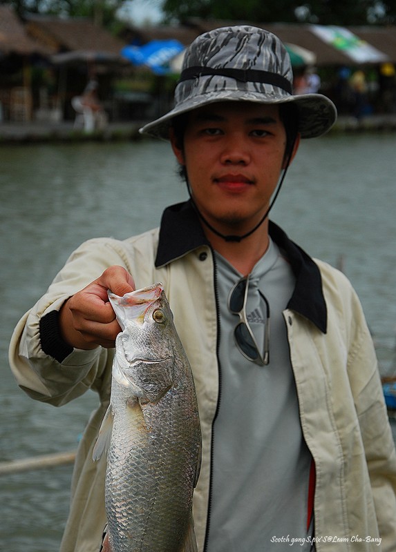 เพื่อนนังปิง : น้าๆคับ ไซด์แบบนี้ พอ