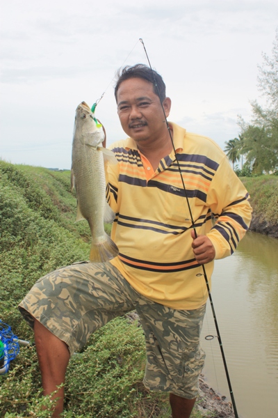 กว่าจะได้มาเชยชม 