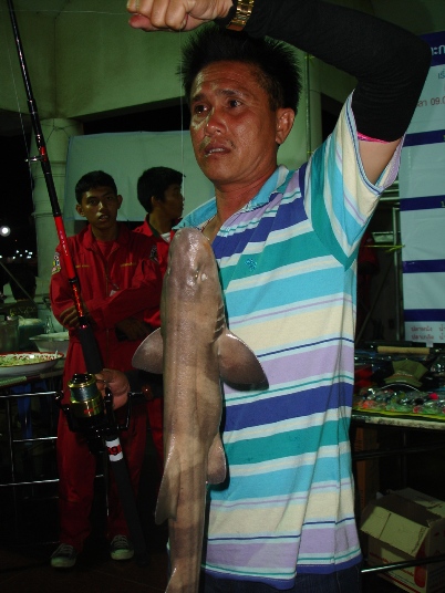 ฉลามยังมี