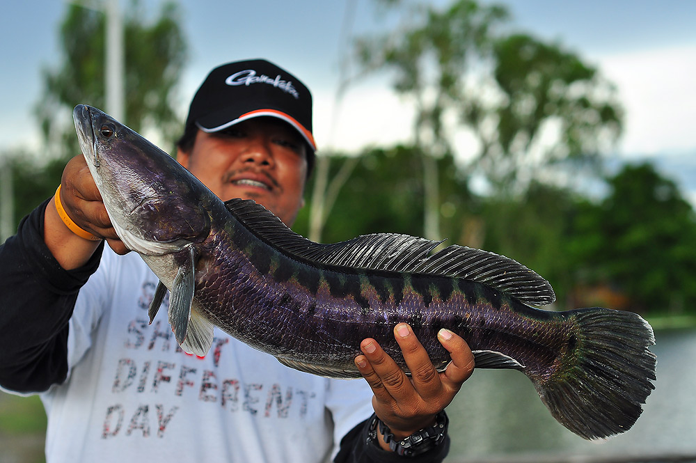 ---- เมื่อ ผบ อยากหัดตกปลา (pilot fishing park) ----