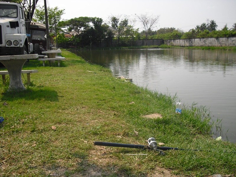เอารูปบรรยากาศบ่อนิวบัดดี้มาให้ชมครับน้าหน่อย  :grin: :grin: