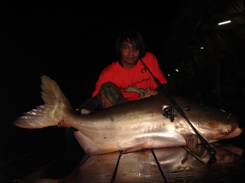 คันเบ็ด:     G-craft SPARK 53"
รอก:         STELLA 5000FA
สาย:         
