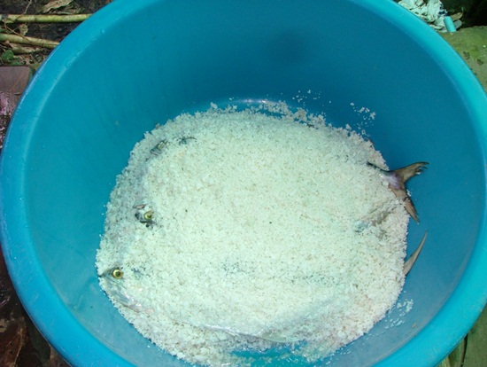 นำเกลือกบให้ทั่วตัวปลาครับ